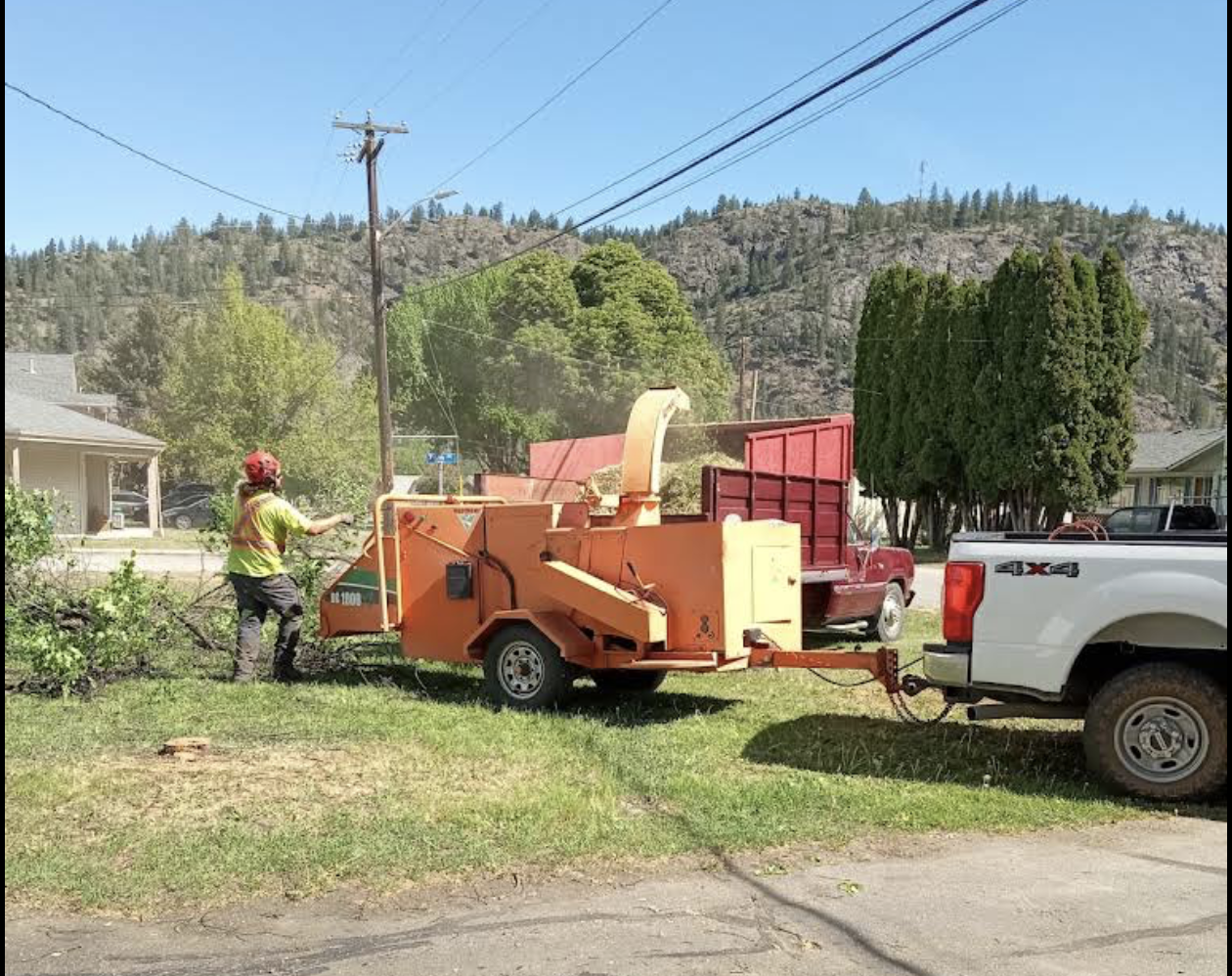 Fallen storm-damaged tree being cleared from a rural yard